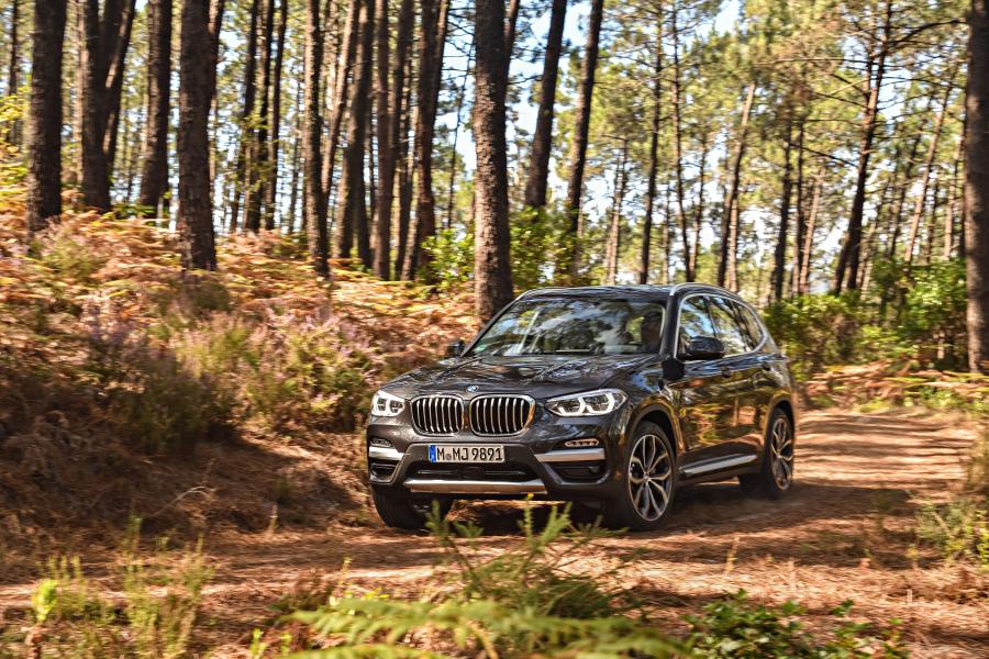  BMW X3 xDrive30d xLine (G01) 2017 года  (WW) (фото 104 из 178)